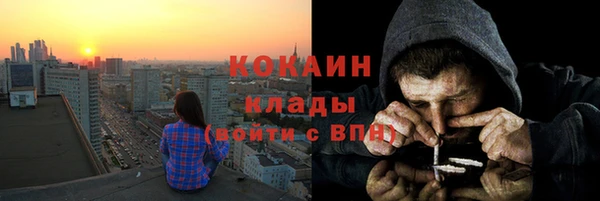 индика Белоозёрский