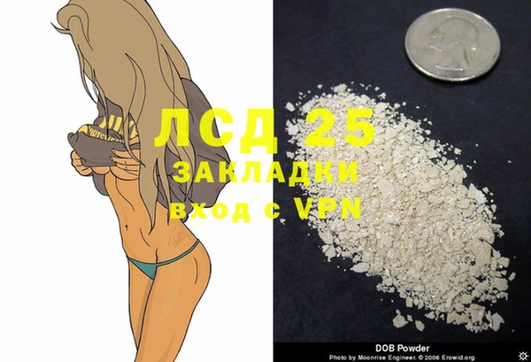 индика Белоозёрский