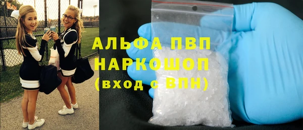 индика Белоозёрский