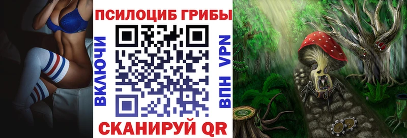 Псилоцибиновые грибы Cubensis  даркнет какой сайт  Югорск 